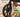 The Benefits of Shock Absorption in Modern Rollator Walkers