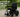 The Future of Mobility – How Libercares Wheelchair Transforms Daily Life