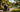Why More Seniors Are Enjoying Local Parks Again
