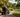 Why More Seniors Are Enjoying Local Parks Again