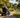 Why More Seniors Are Enjoying Local Parks Again