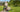 What Seniors Really Want From a Mobility Device