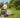 What Seniors Really Want From a Mobility Device