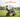 Conquer Every Terrain with Confidence: The 500W All‑Terrain Folding Electric Wheelchair