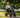 A Family Guide to Choosing the Right Electric Wheelchair for Your Parents