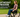 Lightweight Freedom – Why a Portable Wheelchair Changes Everything