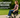Lightweight Freedom – Why a Portable Wheelchair Changes Everything