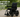 The Future of Mobility – How Libercares Wheelchair Transforms Daily Life