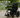 The Future of Mobility – How Libercares Wheelchair Transforms Daily Life