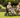 How Electric Wheelchairs Make Family Gatherings More Enjoyable